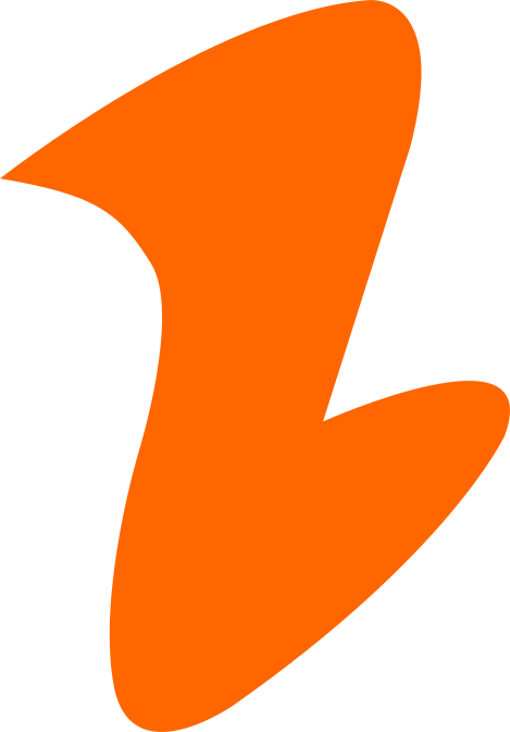 Logo BIXXS